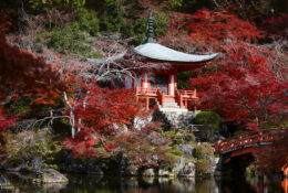 Japan_Autumn_2025 (35/47)